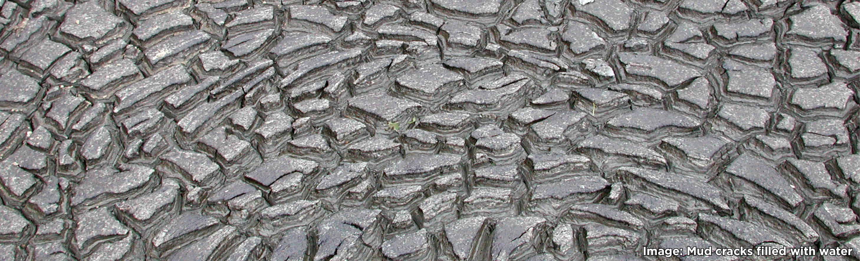Mud cracks filled with water.