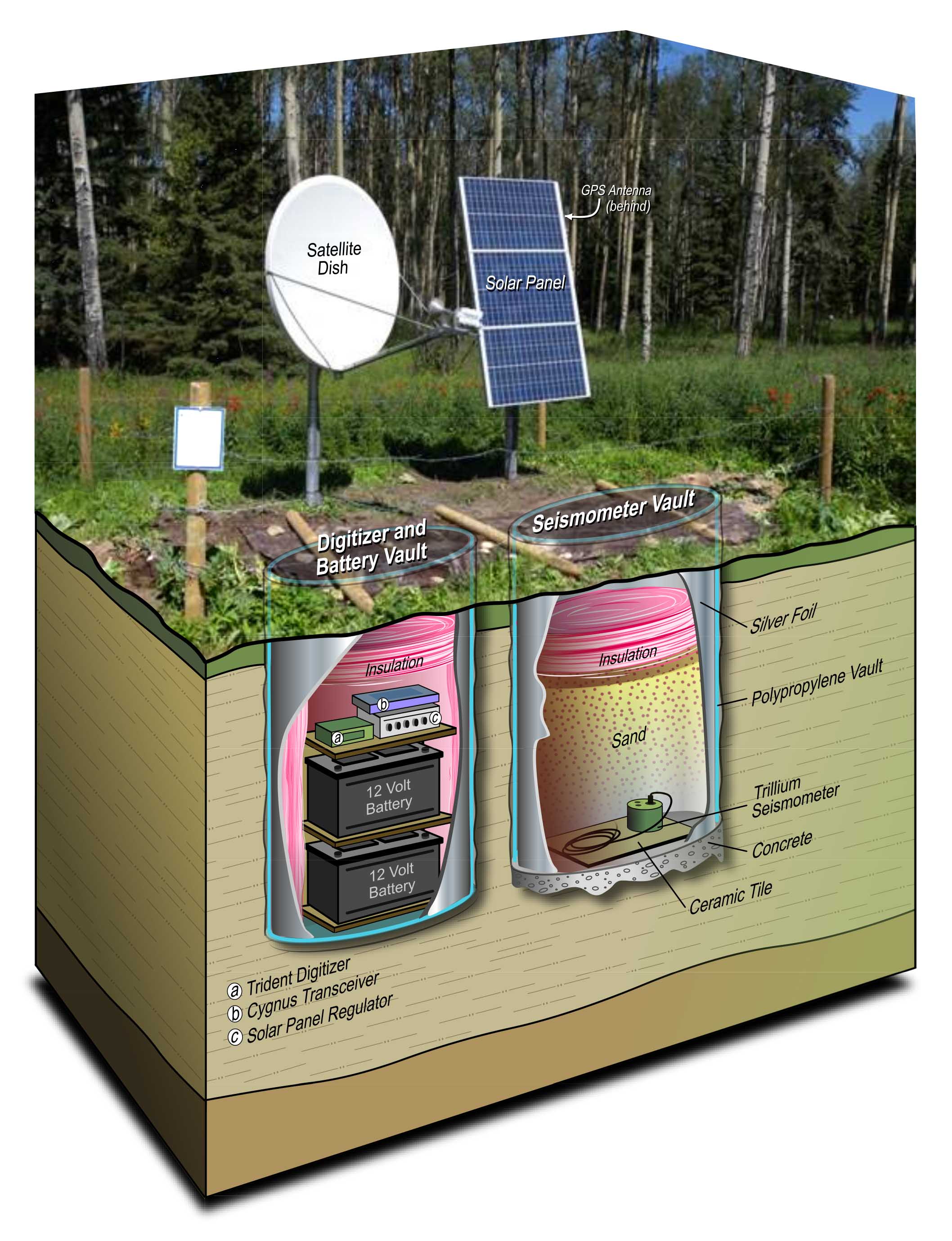 real time 3d earthquake monitor